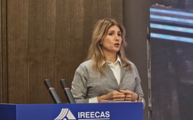 Ljiljana Stević, PhD, on Academic Exchange in China and Participating in the Most Important Sinological Conferences